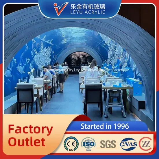 Production professionnelle de panneau de tunnel de poissons d'assurance qualité d'aquarium acrylique transparent